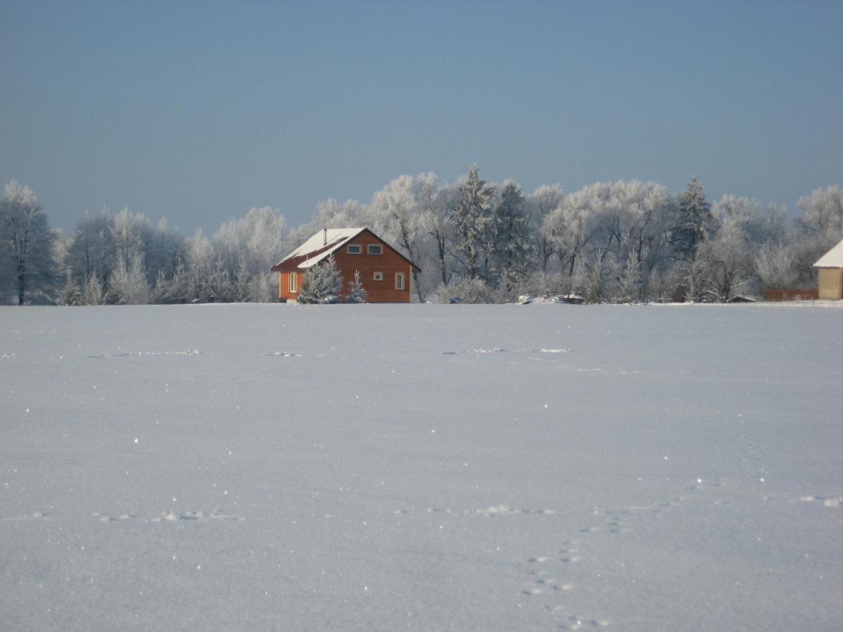 Villa Domki Nad Jeziorem Rajgród Exterior foto